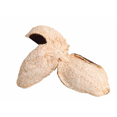 湛江怎么泡91香蕉视频成人茶品牌