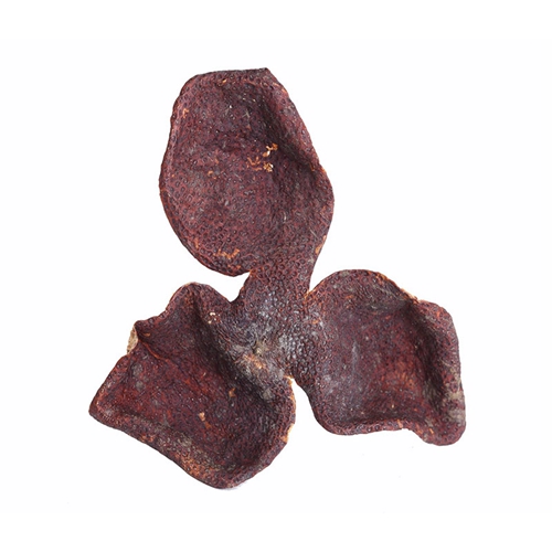 温州特级新会香蕉网在线视频价格