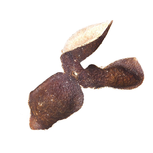 温州特级新会香蕉网在线视频价格